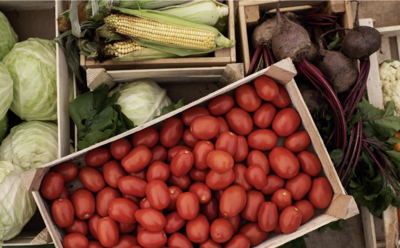 За I квартал 2026 года Россельхознадзор зафиксировал рост объемов экспорта молочной продукции, овощей, фруктов и орехов