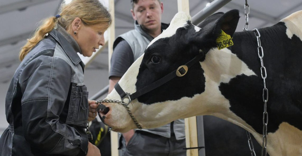 На подготовку кадров для агропрома Правительство выделит дополнительно свыше 500 млн рублей