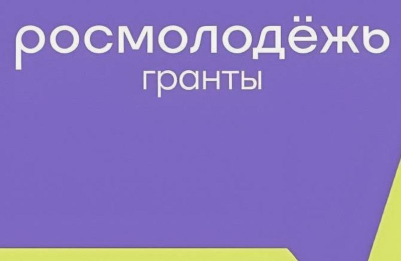 Чернышенко: победители конкурса «Росмолодежь. Гранты» получат до 1 млн рублей