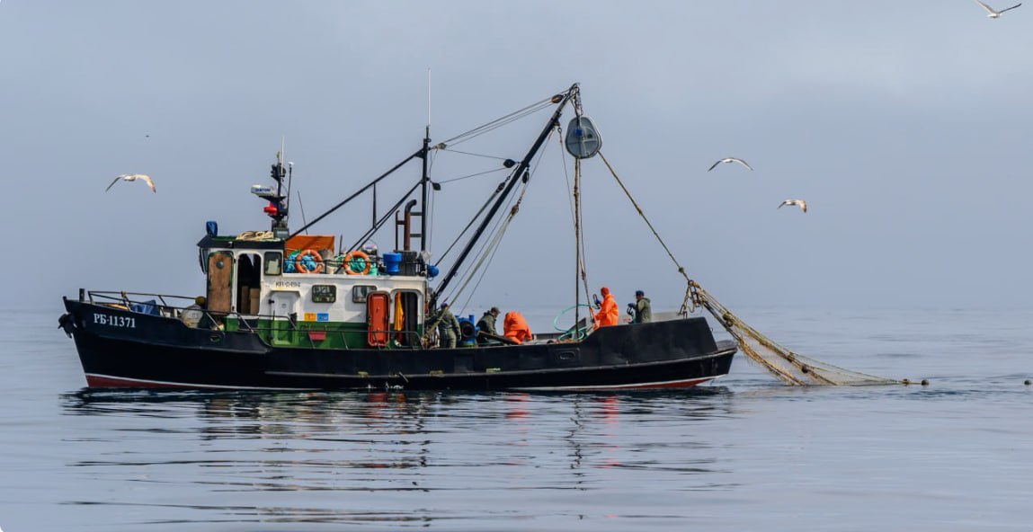 Михаил Мишустин дал поручения по итогам совещания Президента с членами Правительства о развитии рыбохозяйственного комплекса