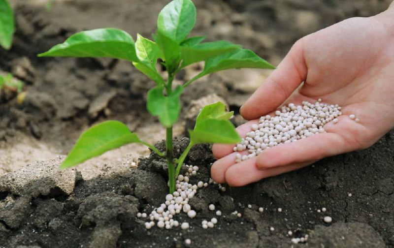 Россия является мировым лидером по экспорту удобрений, заявил Минпромторг