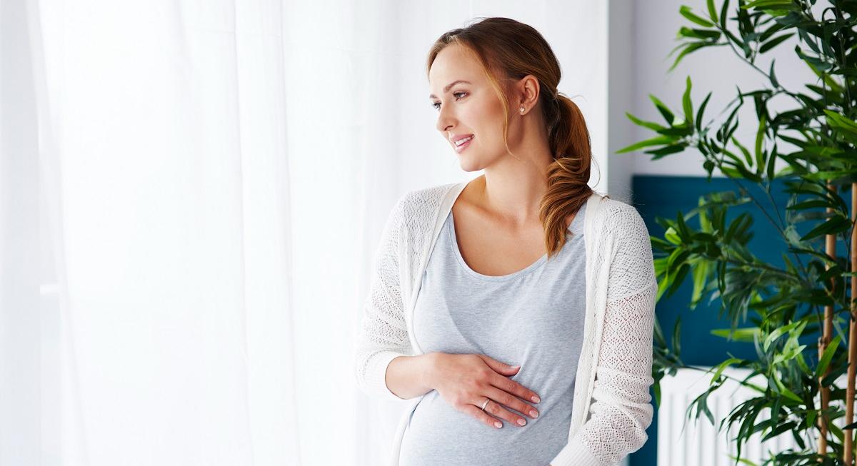 В Соцфонде рассказали о максимальном размере пособия по беременности в 2026 году