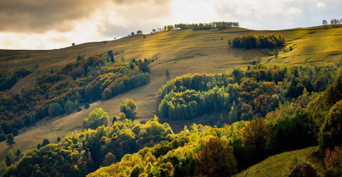 В РФ выявили более 32 тыс. га земли в рамках реализации проекта «Земля для туризма»