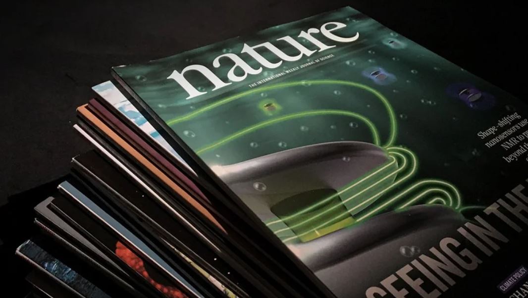 Эксперты Академии: вопрос генезиса индоевропейских языков далеко не исчерпан