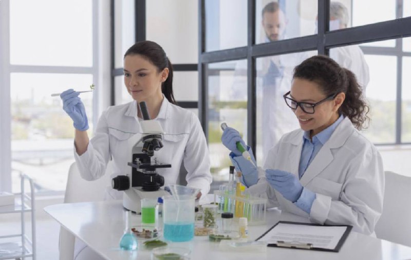 Свыше 90 тысяч вакансий в сфере образования и науки доступны на портале «Работа России»