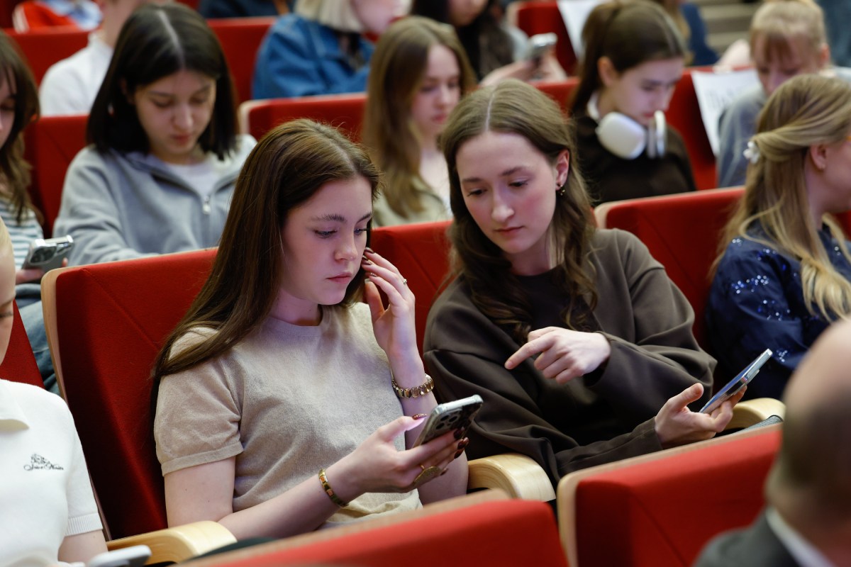 Описание изображения 13