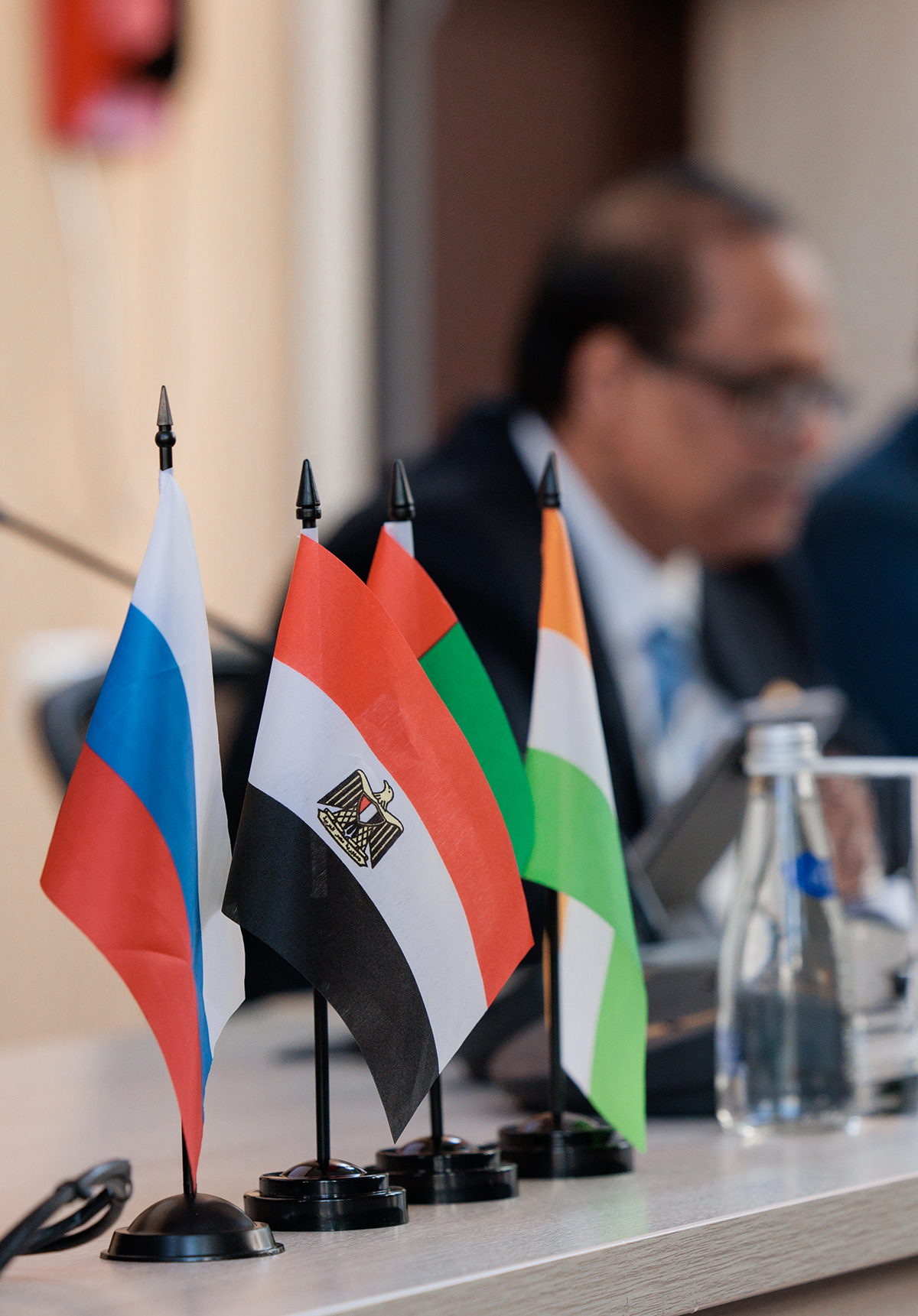 Международная конференция стран БРИКС по государственному и муниципальному управлению