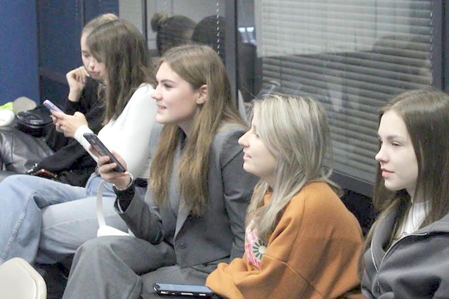 Описание изображения 10